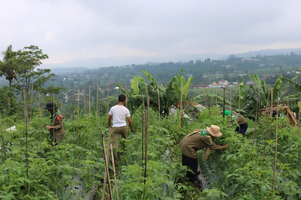 DIKLAT DSD KE 10 : DARI PENGEMBARAAN HINGGA PENGABDIAN
