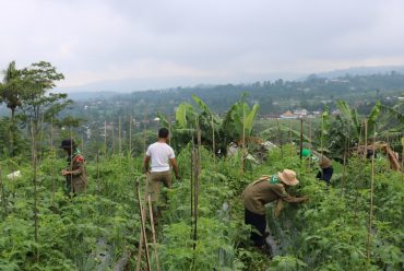 DIKLAT DSD KE 10 : DARI PENGEMBARAAN HINGGA PENGABDIAN