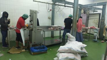QurbanMu, Inovasi untuk Ketahanan Pangan