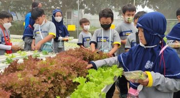 SD Muhammadiyah PK Kottabarat Kenalkan Potensi Agrobisnis Sejak Dini