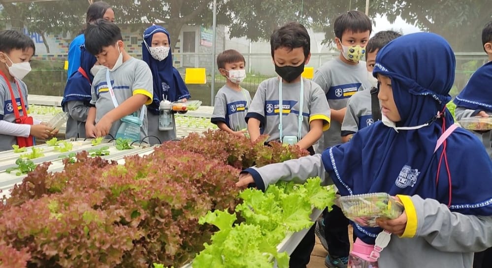 SD Muhammadiyah PK Kottabarat Kenalkan Potensi Agrobisnis Sejak Dini