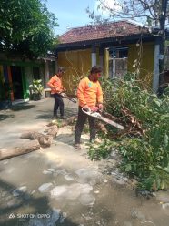 MDMC Solo Bantu Atasi Pohon Tumbang di SD Muhammadiyah Alam Surya Mentari Solo