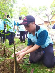 Jaga Ekosistem Alam, Siswa Kelas 7 SMP Muhammadiyah PK Solo  Tanam Bibit Mangrove