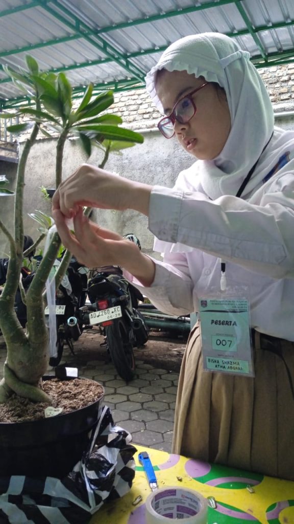 Serunya Praktik Mengenten Kamboja Jepang di SD Muhammadiyah 2 Solo