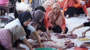 ITS PKU Muhammadiyah Surakarta mengadakan kegiatan kurban merayakan Hari Raya Iduladha 1445 H, Rabu (19/6/2024). Tahun ini, jumlah hewan kurban yang disembelih sebanyak tiga ekor sapi dan dua ekor kambing.