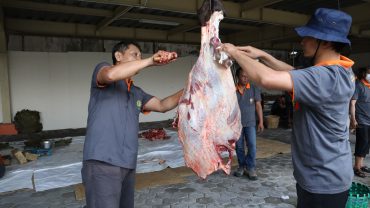 RS PKU Muhammadiyah Solo Salurkan Daging Kurban ke 1.880 Orang