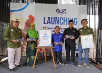 Muhammadiyah Jihad Kedaulatan Pangan Melalui Peternakan TelurMoe