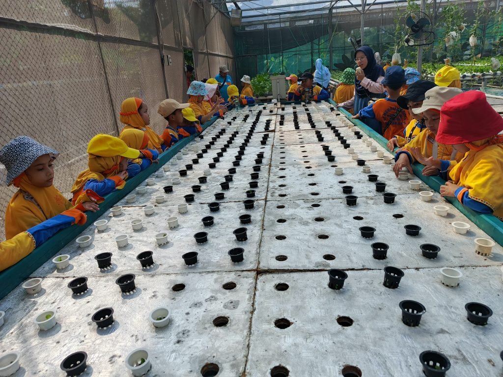 Murid Kelas I SD Muhammadiyah PK Solo Belajar Teknik Hidroponik ke FP UNS