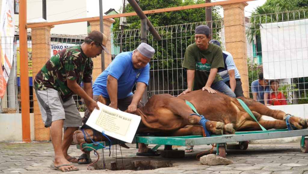 UMPKU Solo Bagikan 750 Bungkus Daging Hewan Kurban
