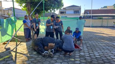 RS PKU Muhammadiyah Solo Sembelih 11 Sapi dan 5 Kambing di Hari Kurban