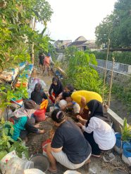Bertani di Pekarangan, Mahasiswa KKN UMPKU Solo Dampingi KWT Serengan