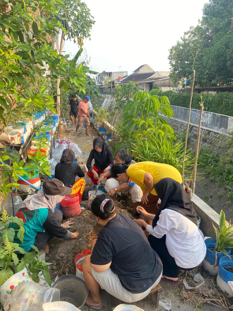 Bertani di Pekarangan, Mahasiswa KKN UMPKU Solo Dampingi KWT Serengan