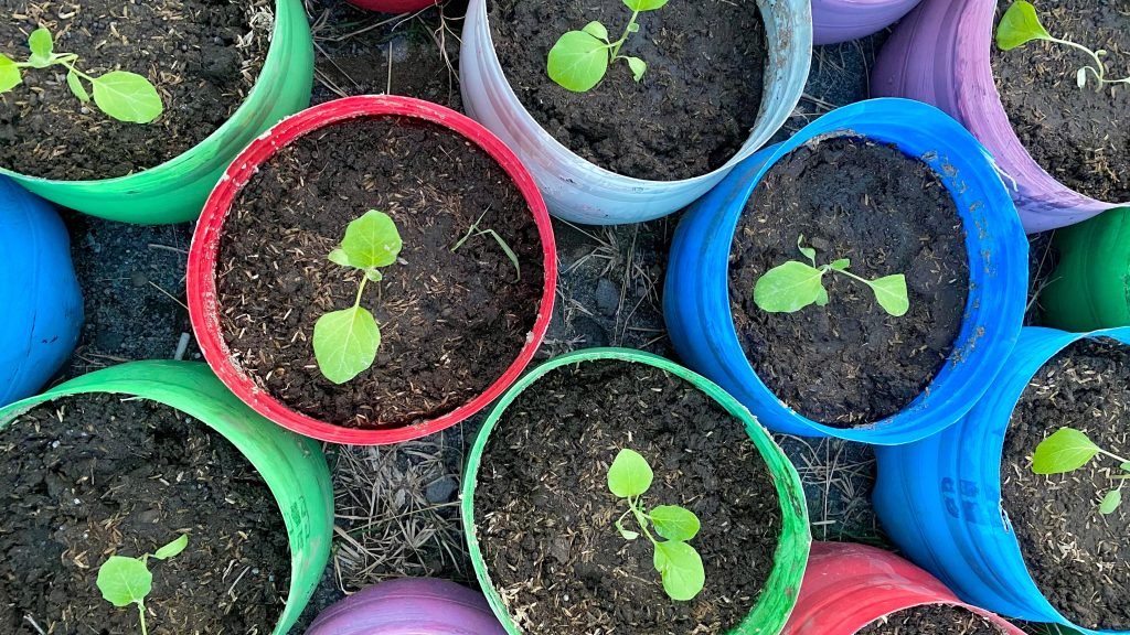 Melalui program “Smartani Jati : Inovasi Sekolah Perempuan melalui Farm-Pod Berbasis IoT Menuju Desa Jati yang Mandiri Pangan”, tim IMM Averroes FT lolos pendanaan dalam Program Penguatan Kapasitas Organisasi Kemahasiswaan (PPK Ormawa) 2025 dari Direktorat Belmawa, Kemendiktisaintek.
