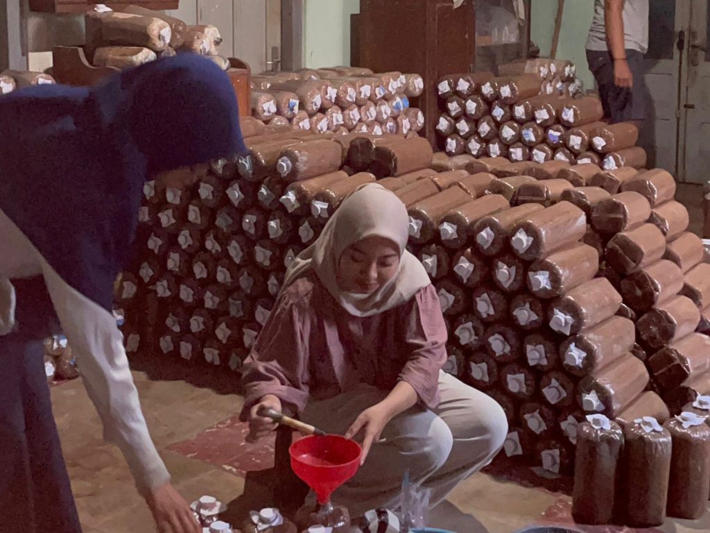 Inovasi mahasiswa Universitas Muhammadiyah Surakarta (UMS) kembali menorehkan prestasi membanggakan. Usaha bertajuk SmartMush: Budidaya Jamur Tiram Hemat Sumber Daya Hasil Lebih Melimpah berhasil lolos pendanaan Program Pembinaan Mahasiswa Wirausaha (P2MW) Tahun 2025 dari Kementerian Pendidikan, Kebudayaan, Riset, dan Teknologi.