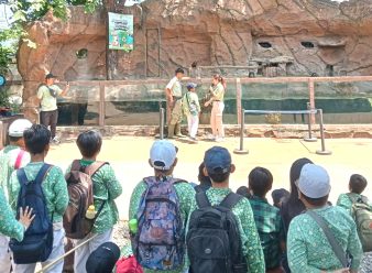 Keseruan Outing Class SD Muhammadiyah 11 Solo di Solo Safari