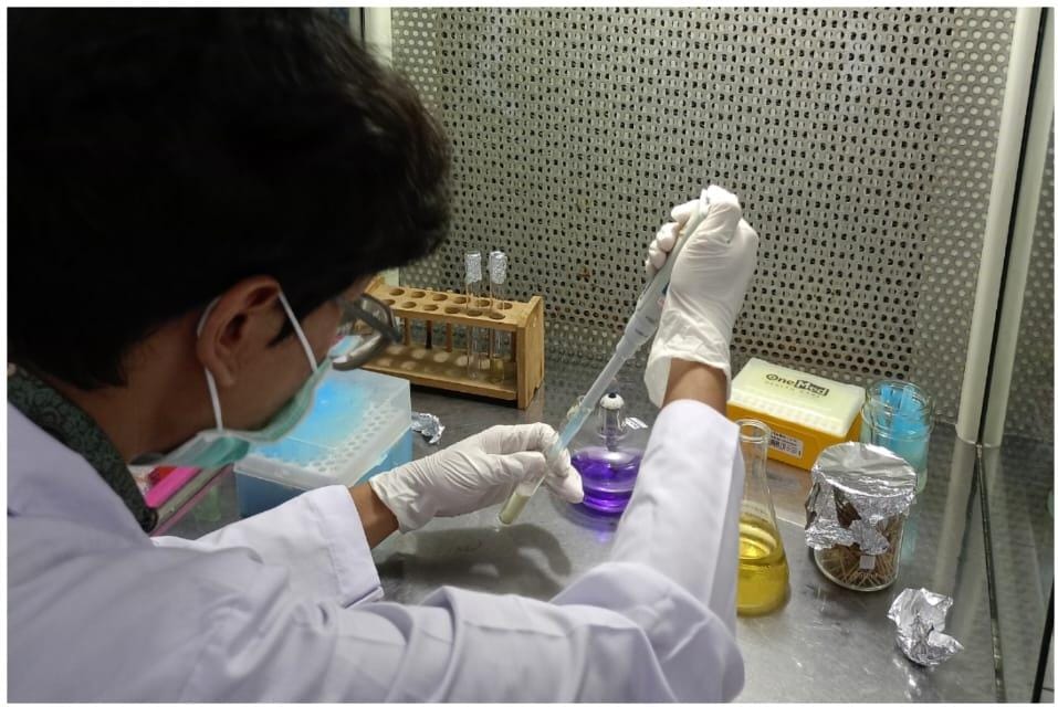 Mahasiswa Universitas Muhammadiyah Surakarta (UMS) berupaya menjawab tantangan atas banyaknya kasus kanker utamanya kanker payudara. Mahasiswa ini tergabung dalam Program Kreativitas Mahasiswa Riset Eksakta (PKM-RE) dan mendapatkan hibah dana dari Kemendiktisaintek. 