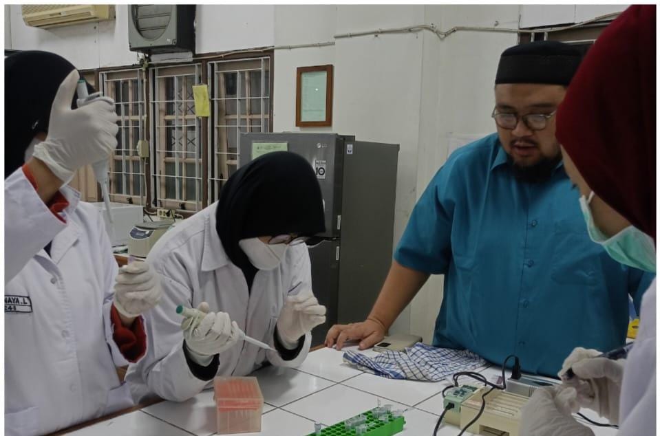 Riset PKM-RE UMS Ungkap Potensi Minyak Biji Alpukat jadi Nanocarrier DNA pada Sel Kanker Payudara