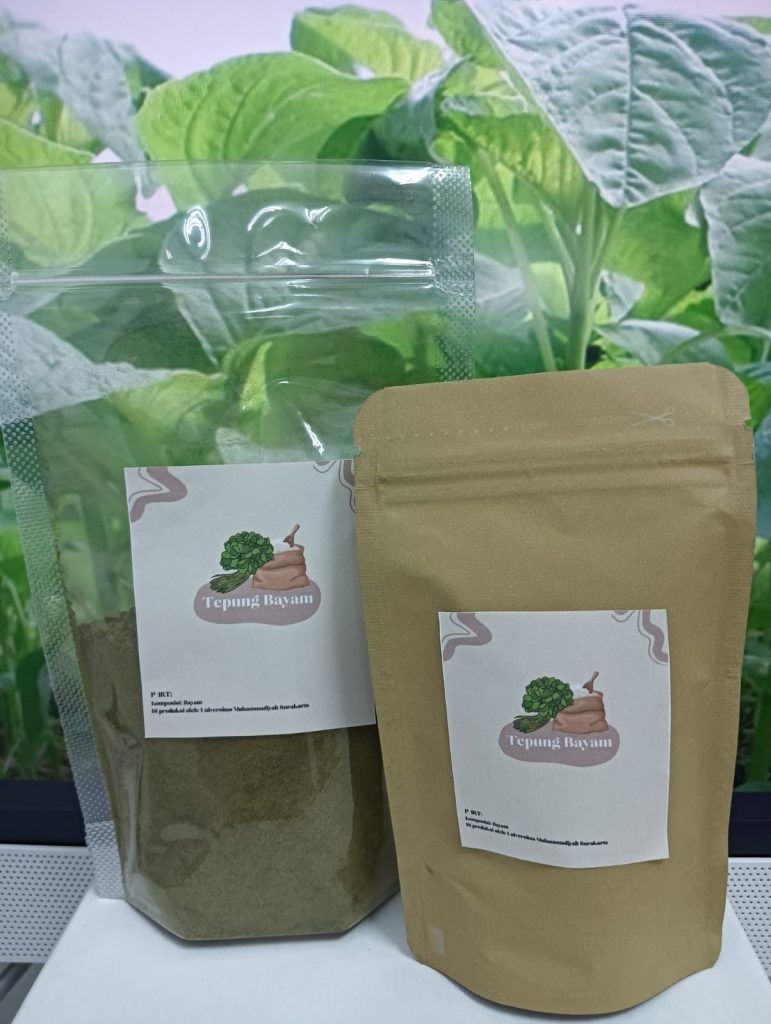 Bayam yang selama ini dikenal sebagai sayuran hijau segar kini memiliki wajah baru. Melalui inovasi yang digagas tim dosen dan mahasiswa Universitas Muhammadiyah Surakarta (UMS), bayam disulap menjadi produk pangan bernilai ekonomi tinggi berupa tepung dan kue kering (cookies) sehat.