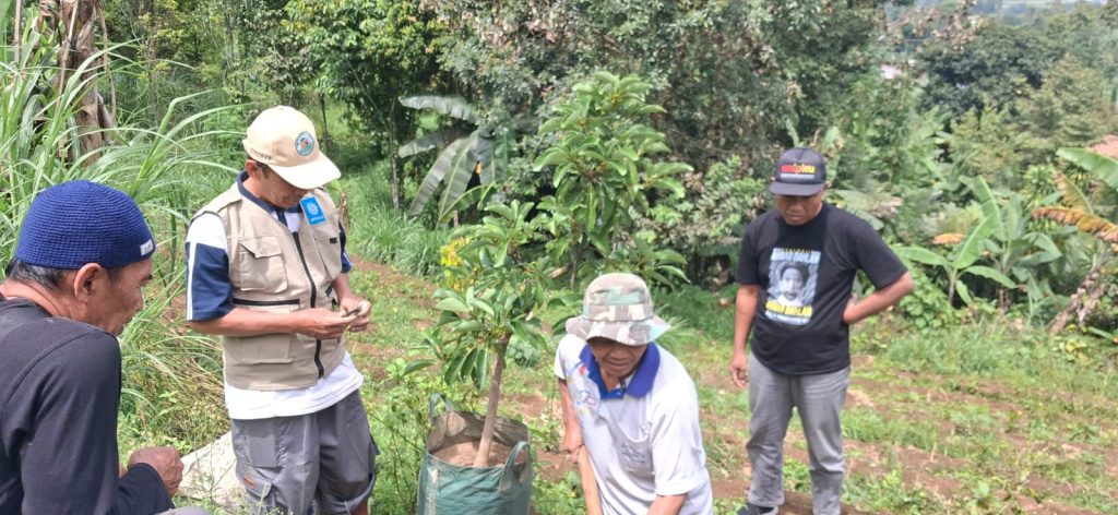 PAKYM Tanam Bibit Alpukat di Tanah Wakaf Ngargoyoso Karanganyar