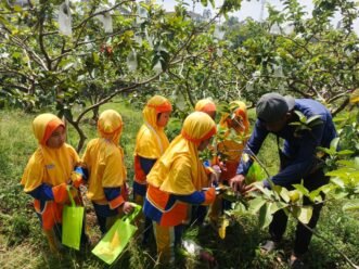 Field Trip ke Hortimart, Murid Kelas I SD Muhammadiyah PK Solo Belajar Menanam