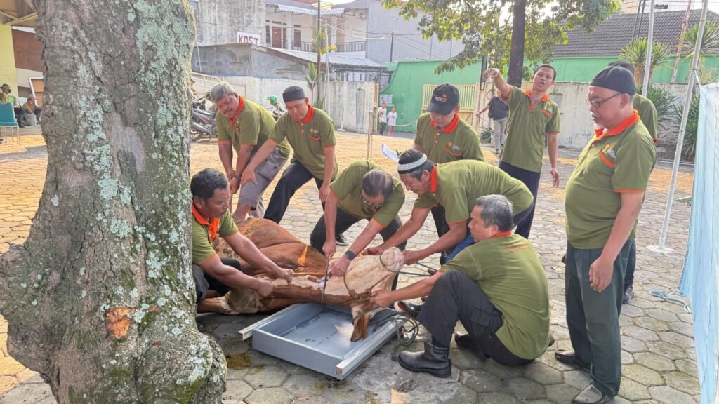 RS PKU Muhammadiyah Surakarta melaksanakan penyembelihan hewan kurban Iduladha 1447 Hijriah di Taman Parkir Karyawan RS PKU Muhammadiyah Surakarta, Kamis (28/5/2026).