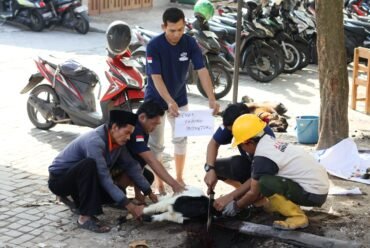 Tanamkan Nilai Tauhid, SD Muhammadiyah PK Banyudono Gelar Kurban Edukatif
