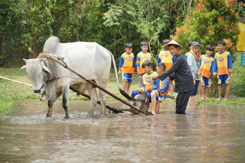 Field Trip Edukatif SD Muhammadiyah PK Solo: Dari Bajak Sawah hingga Kayak