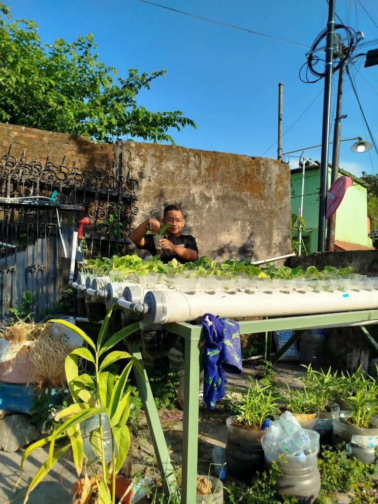 Pertanian Perkotaan PRM Tegalharjo Tumbuh lewat Hidroponik dan Tanaman dalam Pot